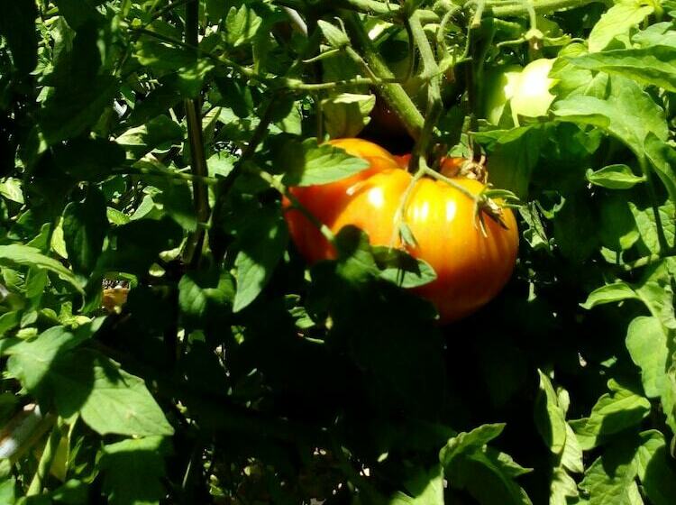 펜션 Chambres D Hôtes La Table De Fred