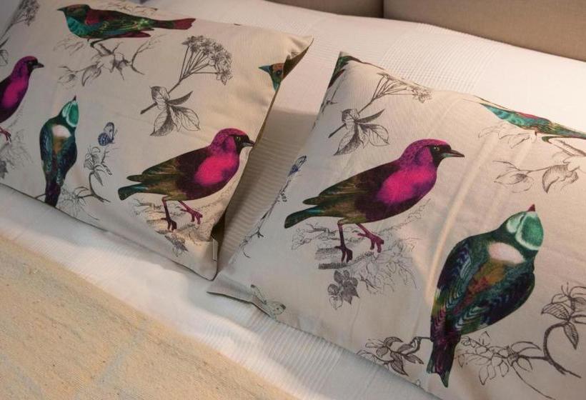 Пансион Douce Nuits