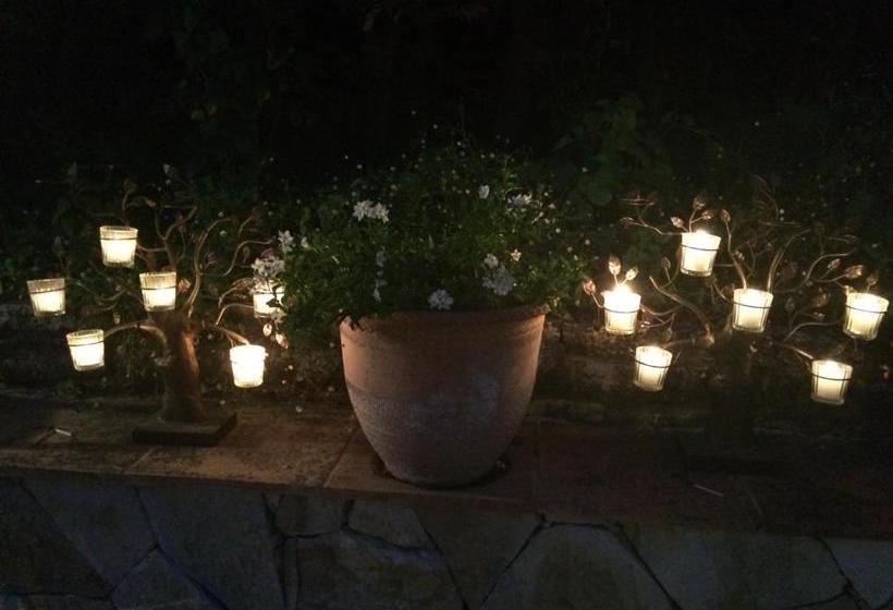 بنسيون Maison Nounette