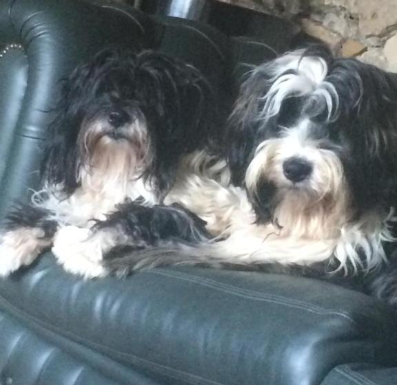 بنسيون Maison Nounette