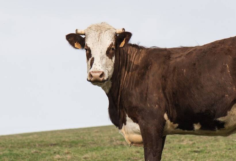 ユースホステル Le Relais Nordique