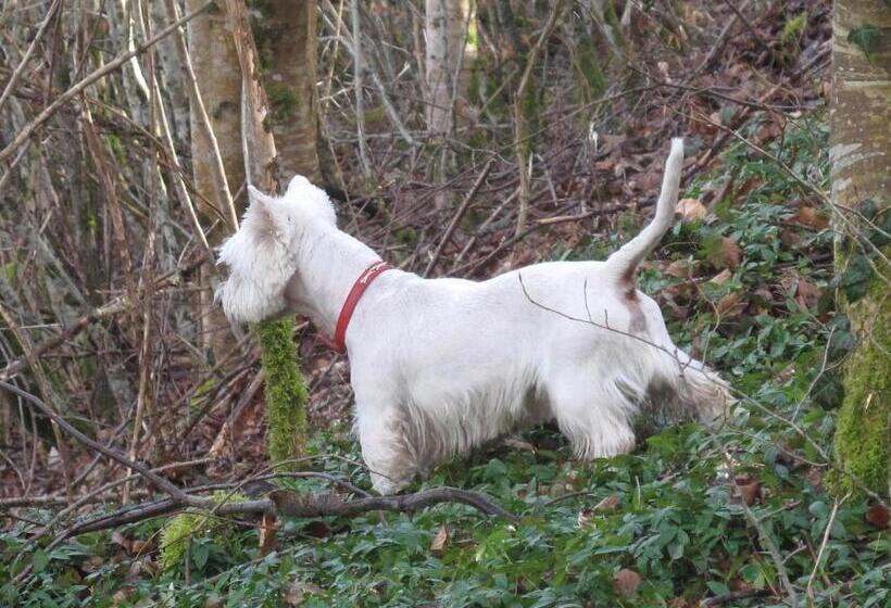 펜션 Hermitage St Roch