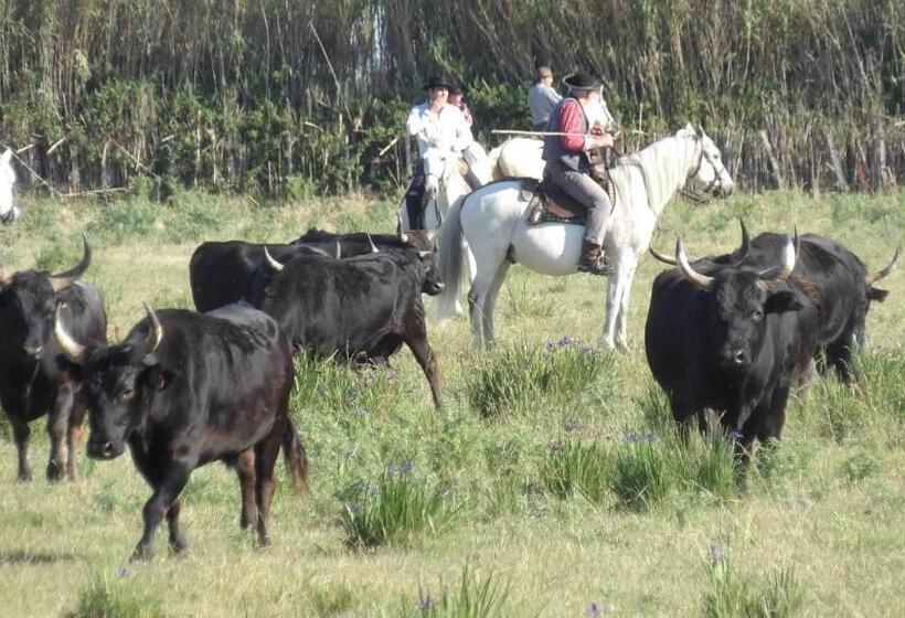 بنسيون Le Clos Des Aramons