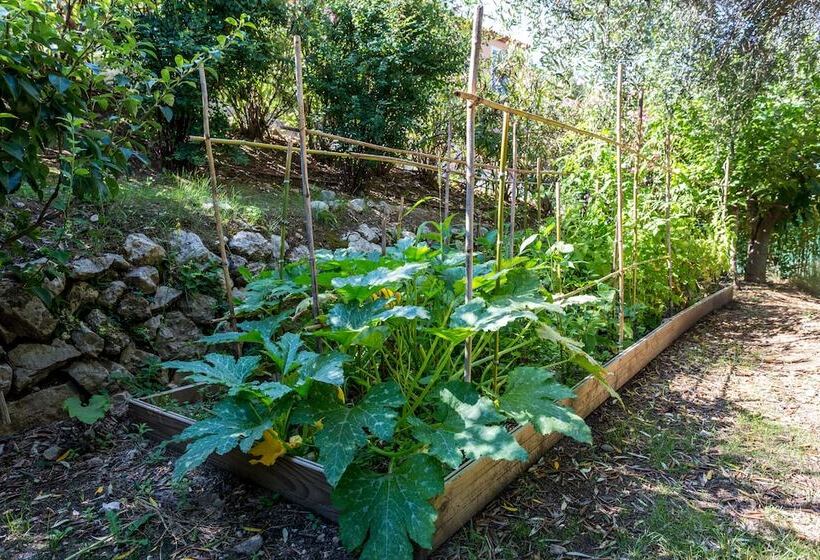 פנסיון Mas De Provence En Riviera