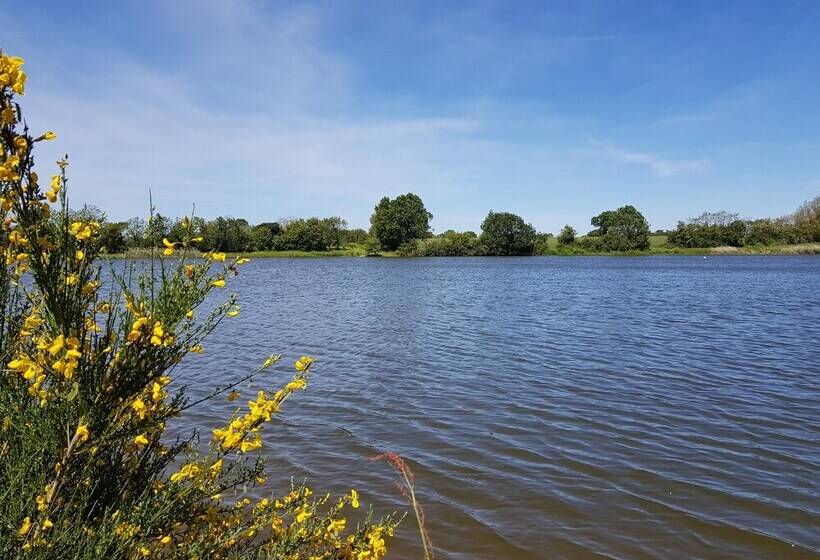 مبيت وإفطار Chambres D Hotes   Domaine De Bacqueville