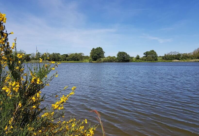 مبيت وإفطار Chambres D Hotes   Domaine De Bacqueville