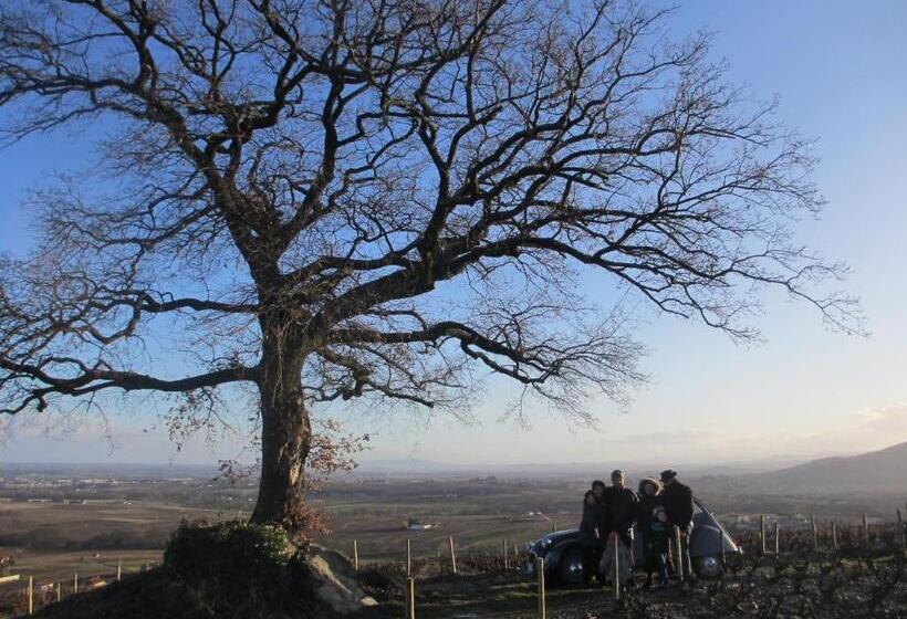 בית מלון כפרי Gîte Le Chêne Du Py