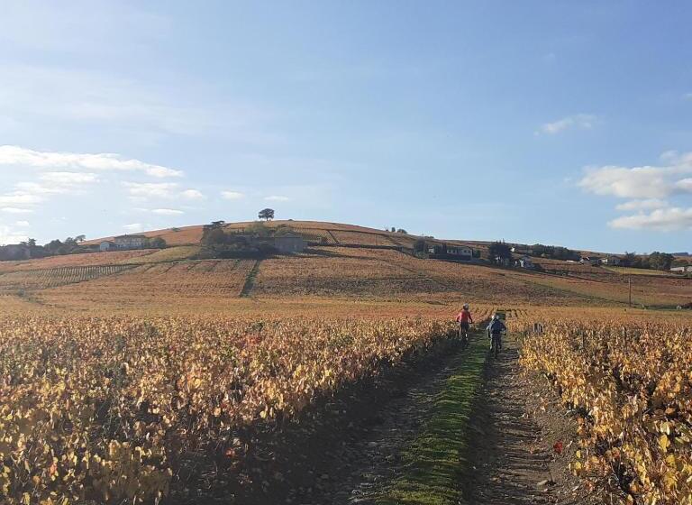 בית מלון כפרי Gîte Le Chêne Du Py