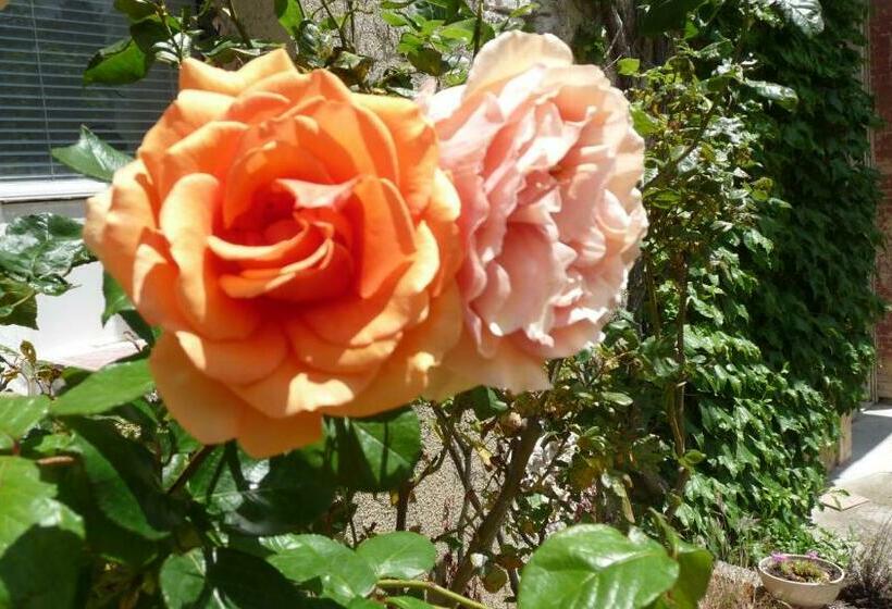 펜션 Chateau La Bouriette