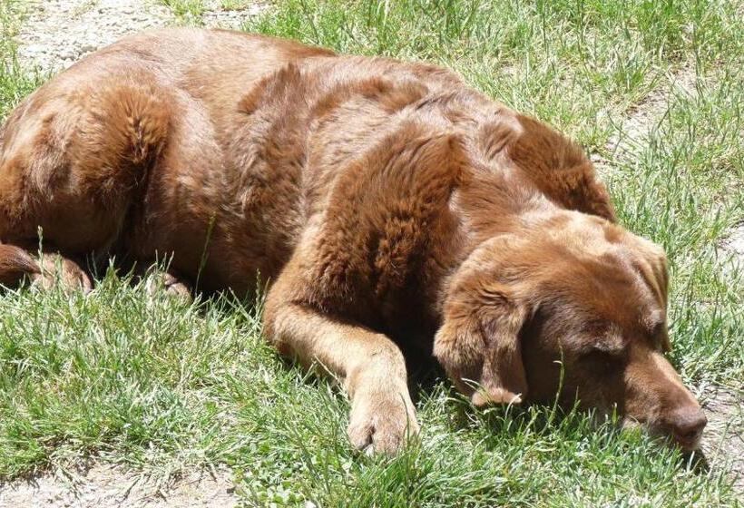 펜션 Chateau La Bouriette