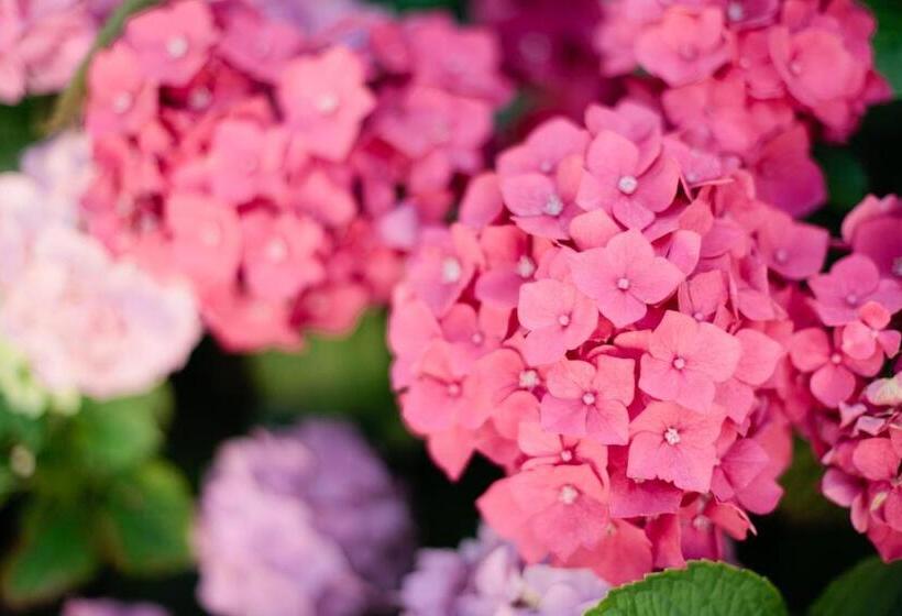 펜션 Chateau Le Val