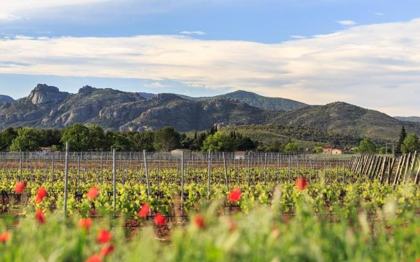 Пансион Château Des Demoiselles