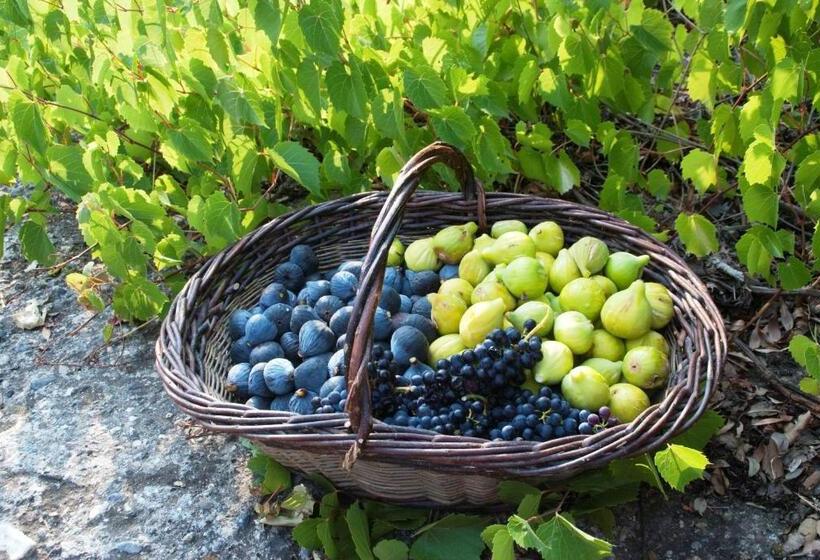 Пансион Domaine De Coussères