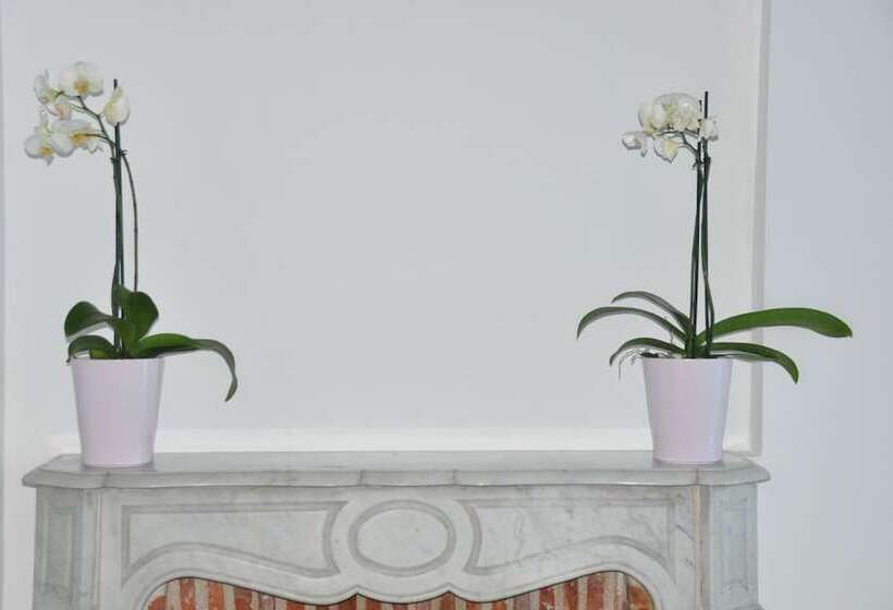 بنسيون Du Côté De Chez Jos