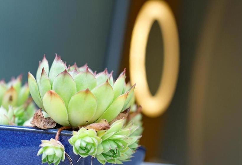 ペンション Le Florida Auberge Contemporaine