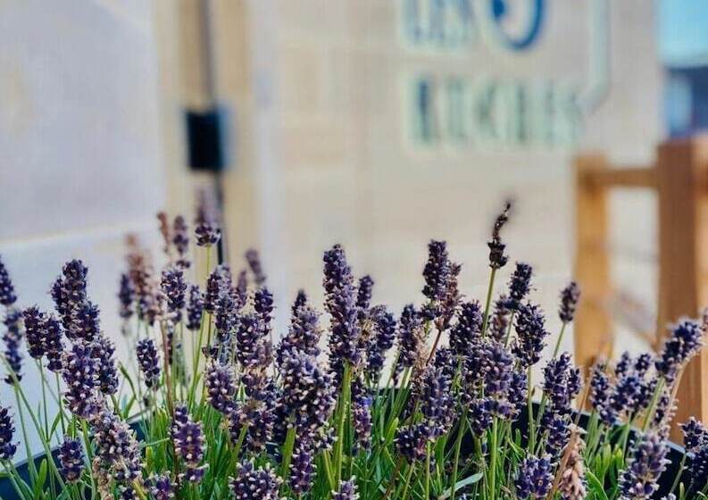 膳宿费 Le Manoir D à Côté