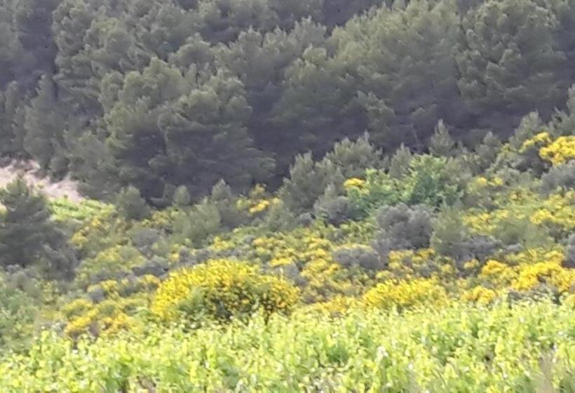 بنسيون Le Relais Des Dentelles