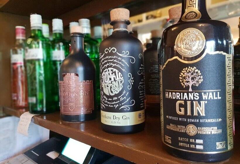 호스텔 Barrasford Arms