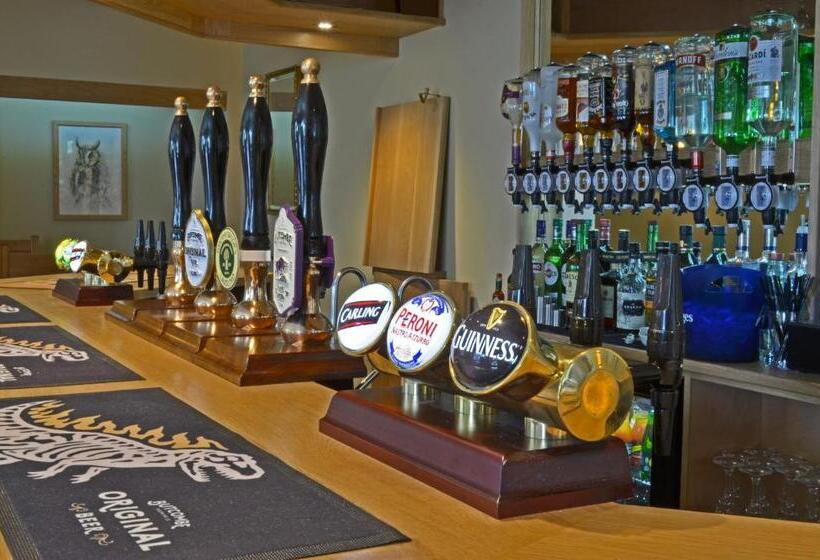 فندق صغير The Drayton Crown