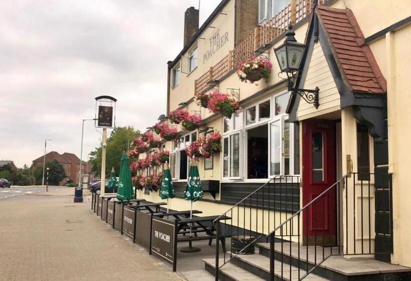 הוסטל The Poacher