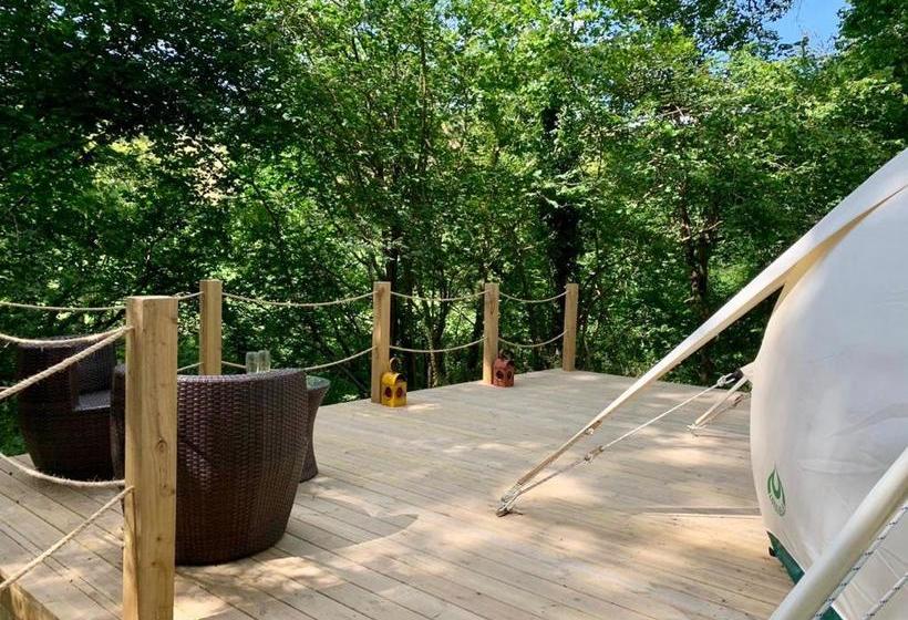 住宿加早餐  Eithinog Hall