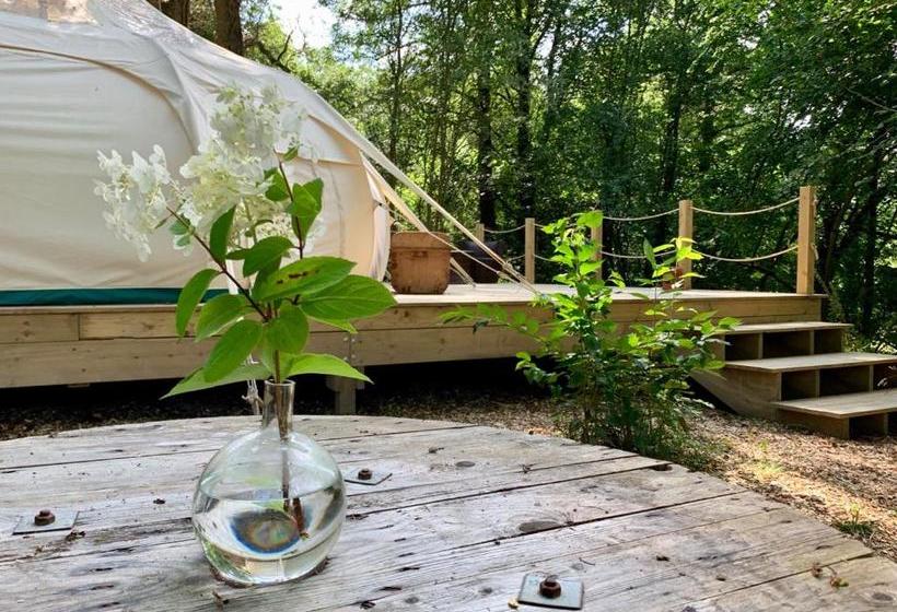 住宿加早餐  Eithinog Hall