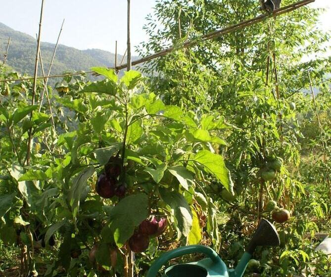 مبيت وإفطار La Chapelle Saint Gervais