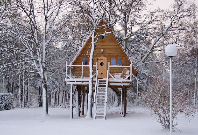 ベッドアンドブレックファースト Le Nid Dans Les Bruyeres