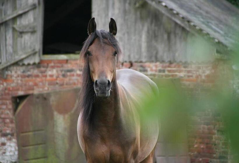 צימר Le Prieuré Chambres D Hôtes