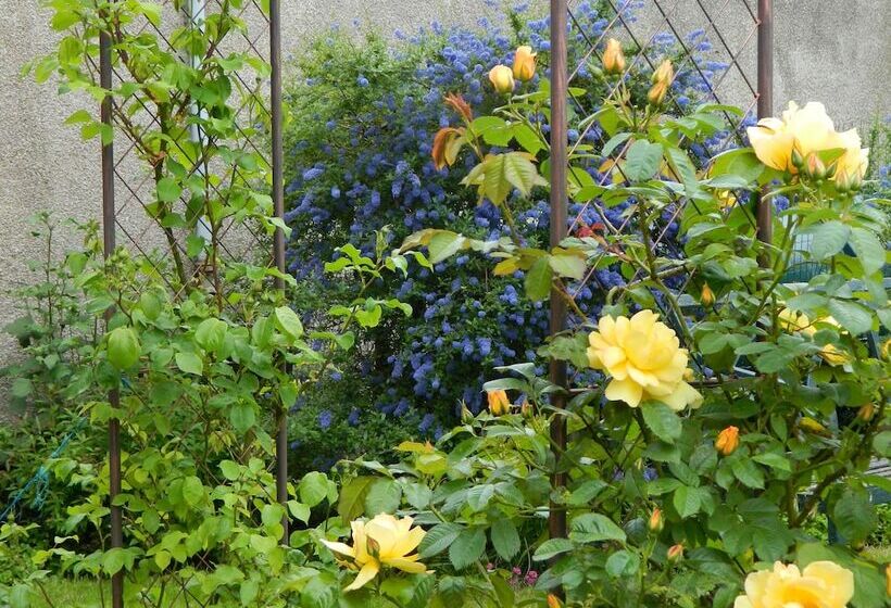 تختخواب و صبحانه Sydney House