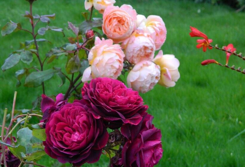 تختخواب و صبحانه Sydney House