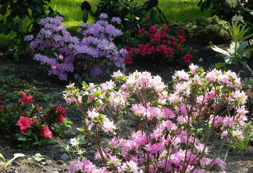 تختخواب و صبحانه Sydney House