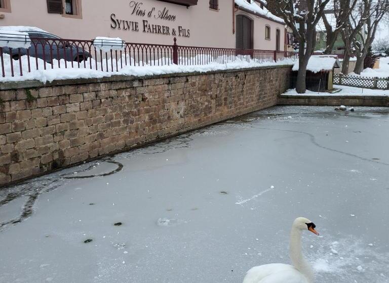 مبيت وإفطار Sylvie Fahrer Et Fils