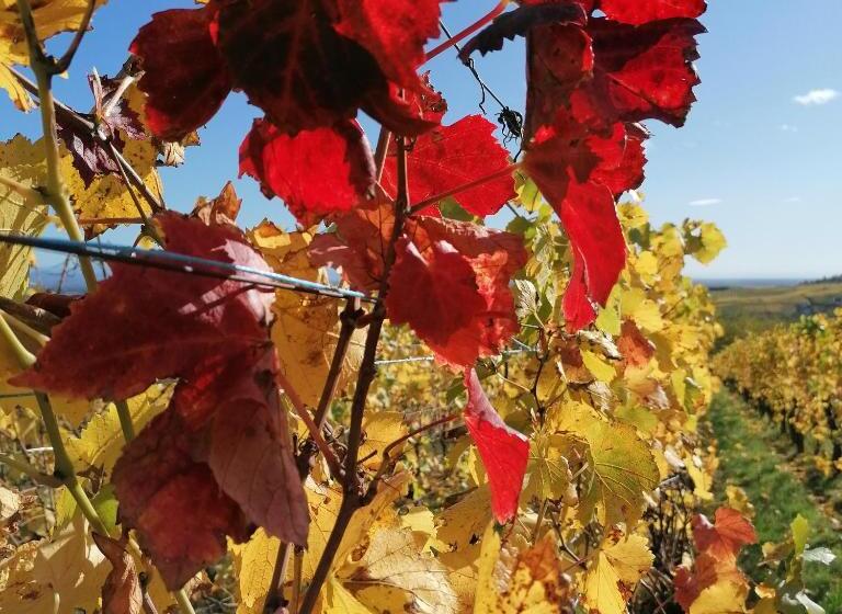 مبيت وإفطار Sylvie Fahrer Et Fils