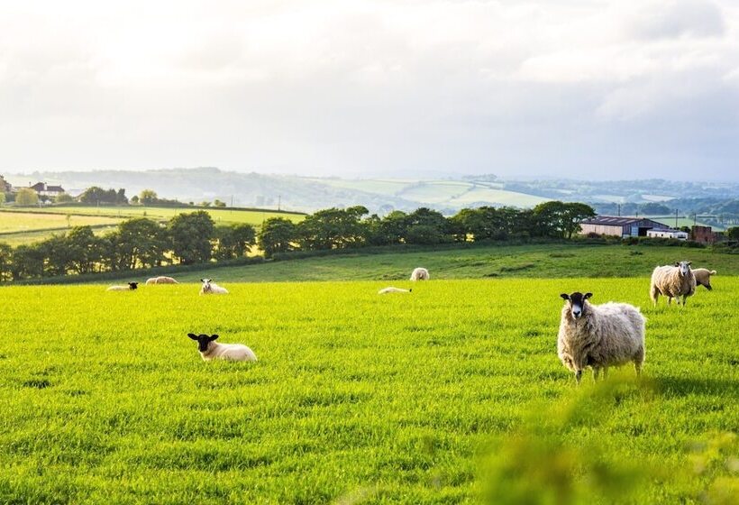 住宿加早餐  Union Road Moto Velo Accommodation