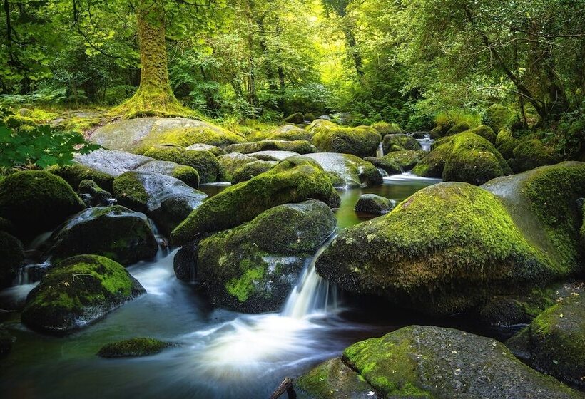 住宿加早餐  Union Road Moto Velo Accommodation