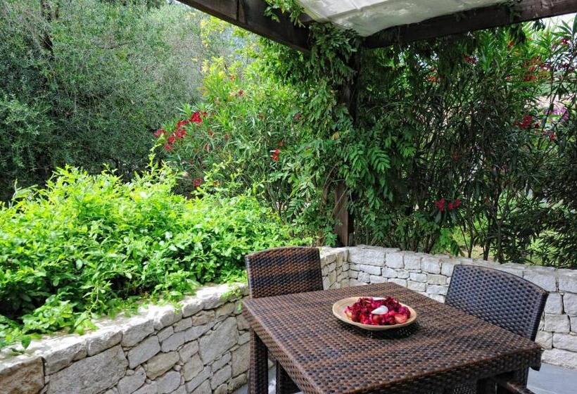 酒店 Poisson Rouge