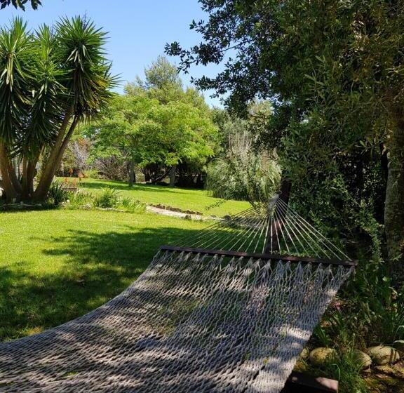 酒店 Poisson Rouge