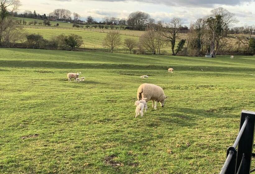 فندق Weatherhead Farm
