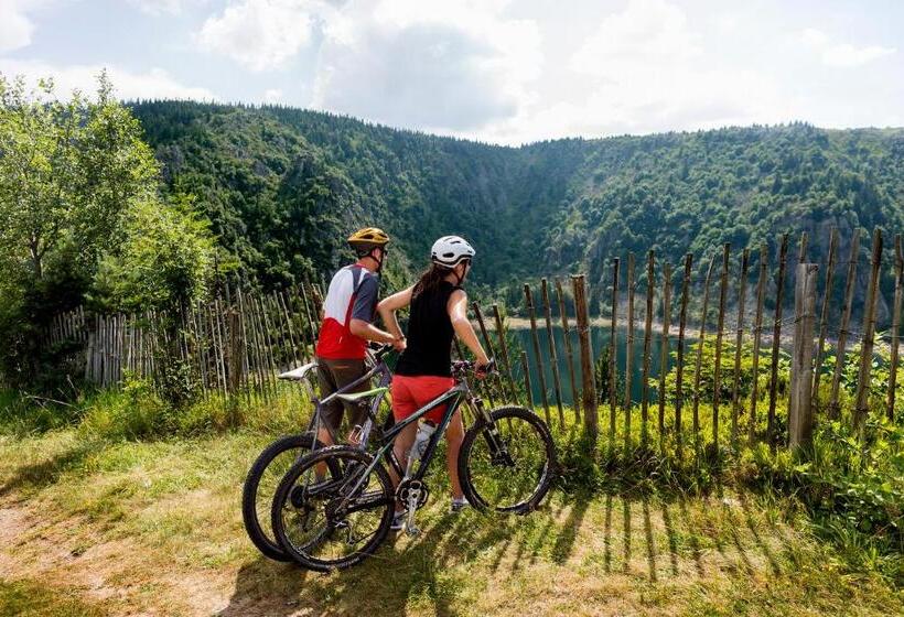 Le Couarôge Chalets Et Appartements