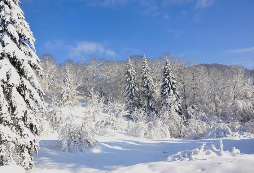 Le Couarôge Chalets Et Appartements