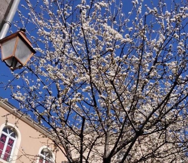 פנסיון 5 Chambres En Ville