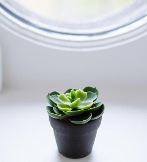 ペンション 5 Chambres En Ville