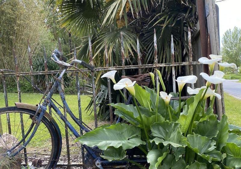 ペンション Chambres D Hotes Fleur De Sel