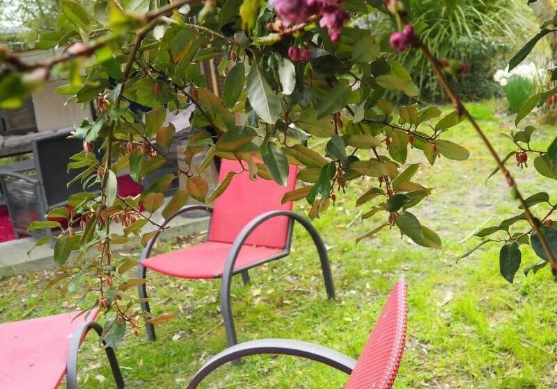 ペンション Chambres D Hotes Fleur De Sel