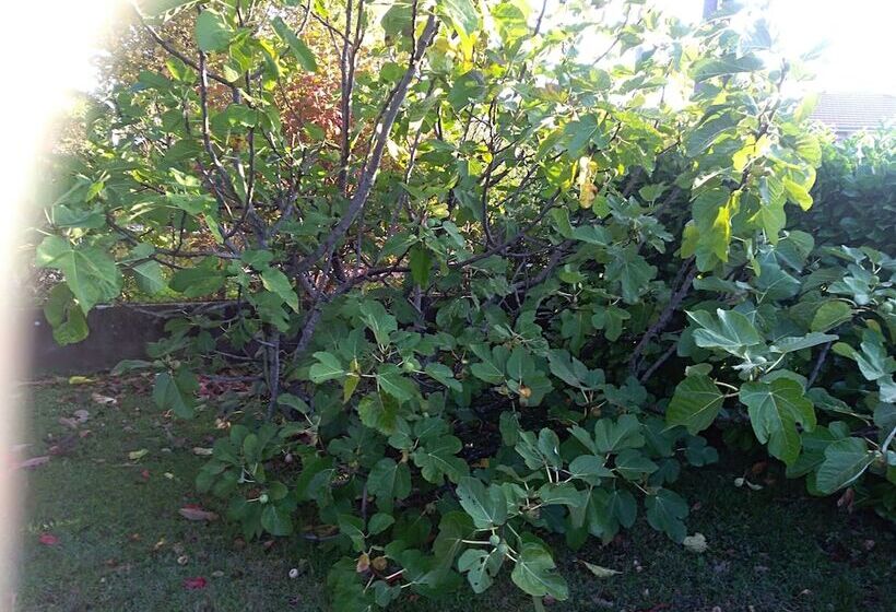 膳宿费 Chez Colombine