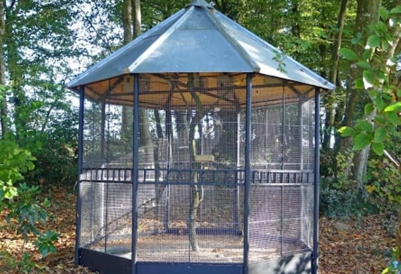 פנסיון Château De Montbrault