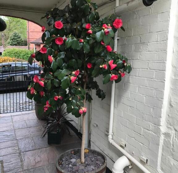 膳宿费 Clayhanger Guest House