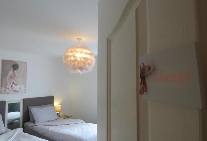 פנסיון Cribyn Lodge