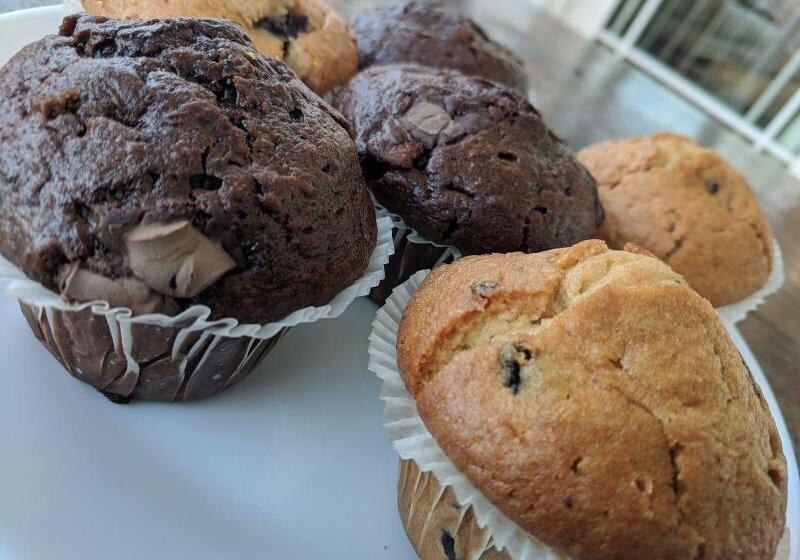 פנסיון Cribyn Lodge